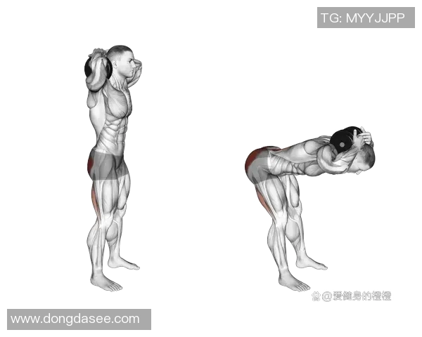 哑铃蹲举：提升全身力量与核心稳定性的最佳训练方法解析